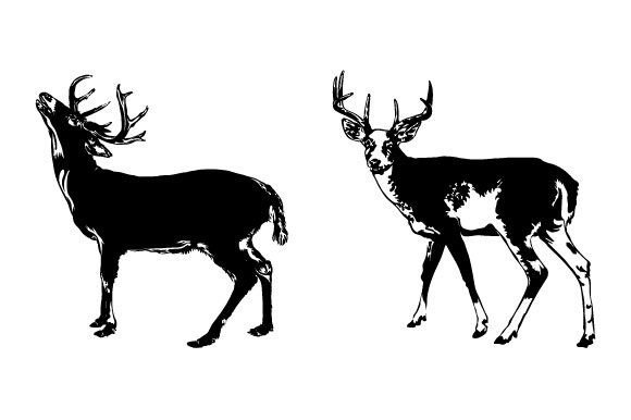 Download Deer Animal SVG Graphic Design - Graphic Collection